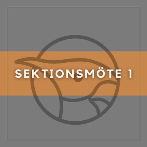 Sektionsmöte 1 - Geo