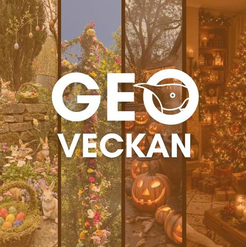 GEOVECKAN - Cykelfest