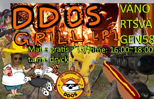 DDOS grillning