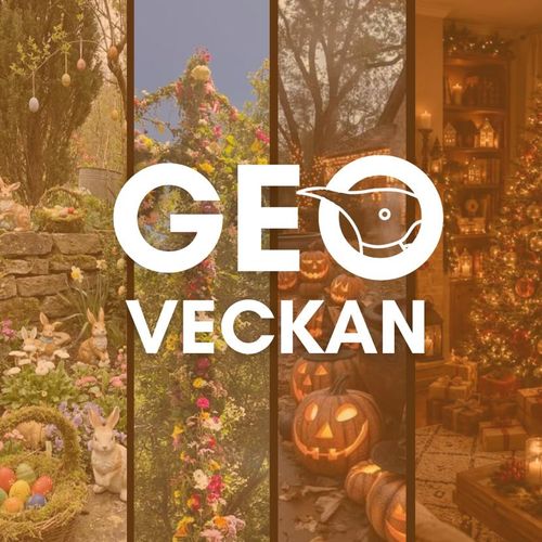 GEOVECKAN - Grillkväll