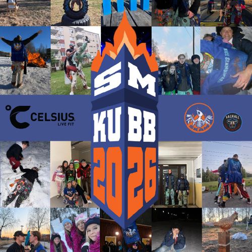 SM (skamliga mästerskapen) I kubb